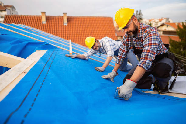 Best Roof Waterproofing Services  in Tecumseh, NE