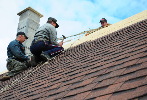 Best Commercial Roofing Services  in Tecumseh, NE
