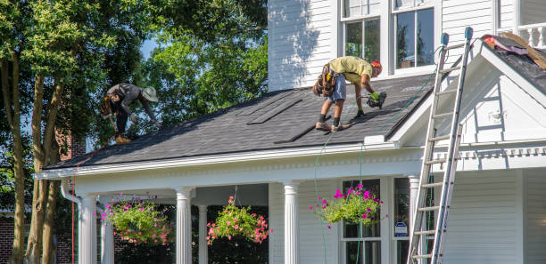 Best Local Roofing Companies  in Tecumseh, NE